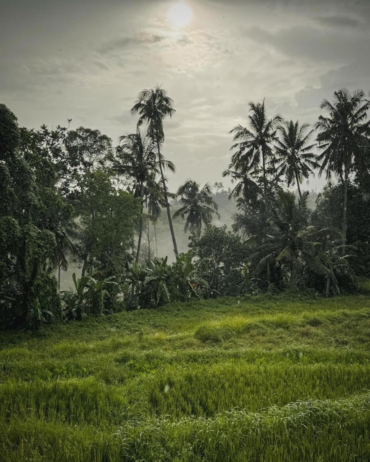 Nirwa Ubud Karma Exterior foto
